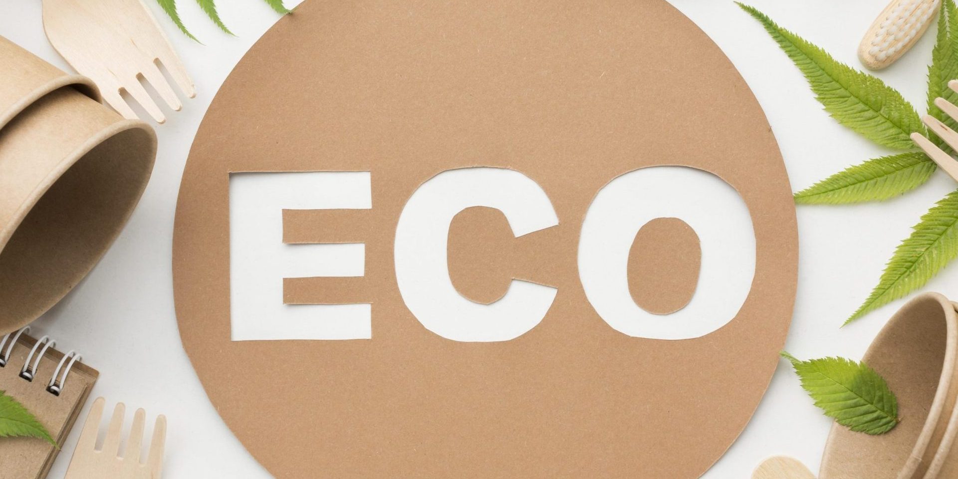 frame-ecology-products-desk